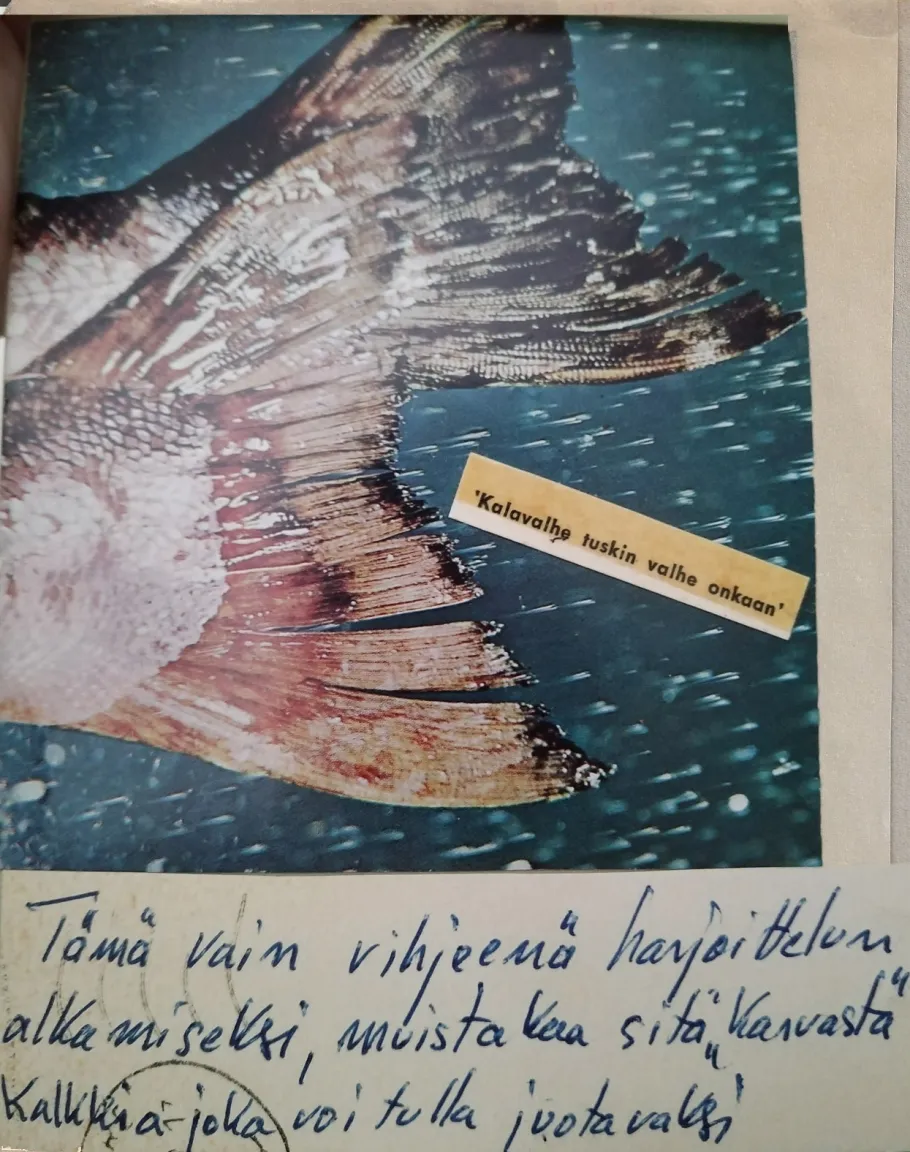 Kalanpyrstöpostikortti